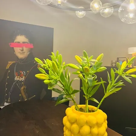 Het Hermens Appartement